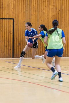 Bild 71 - wBJ TSV Ellerau - HSG Stoertal Hummeln : Ergebnis: 26:19